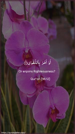 Al-Alaq Ayah 12 - Arabic + English wallpaper