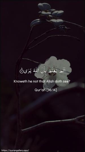 Al-Alaq Ayah 14 - Arabic + English wallpaper