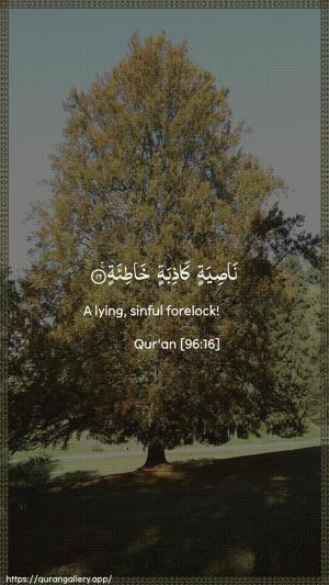 Al-Alaq Ayah 16 - Arabic + English wallpaper