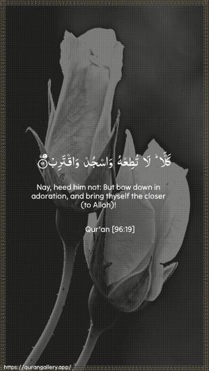 Al-Alaq Ayah 19 - Arabic + English wallpaper