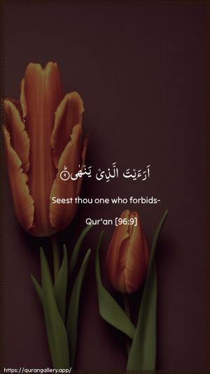 Al-Alaq Ayah 9 - Arabic + English wallpaper