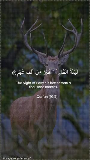 Al-Qadr Ayah 3 - Arabic + English wallpaper