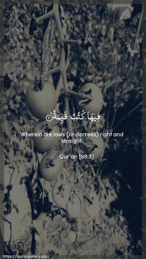 Al-Bayyina Ayah 3 - Arabic + English wallpaper