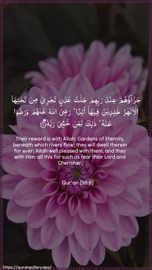 Al-Bayyina Ayah 8 - Arabic + English wallpaper