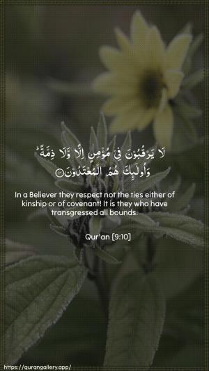 At-Tawba Ayah 10 - Arabic + English wallpaper