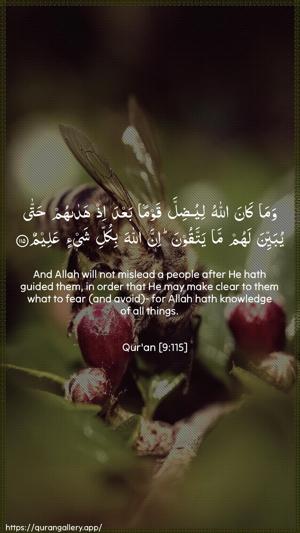 At-Tawba Ayah 115 - Arabic + English wallpaper