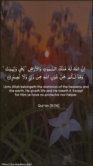 At-Tawba Ayah 116 - Arabic + English wallpaper