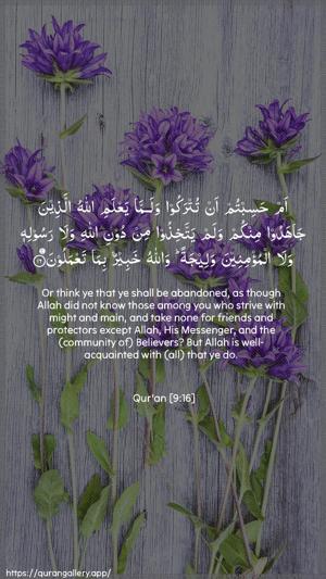 At-Tawba Ayah 16 - Arabic + English wallpaper