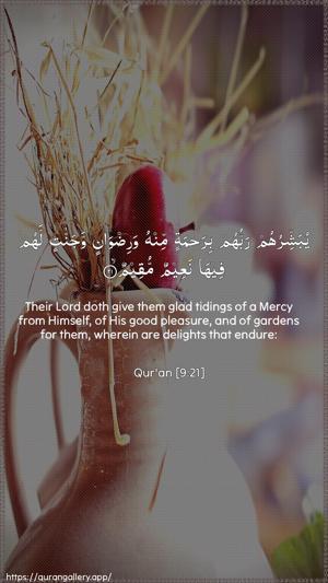 At-Tawba Ayah 21 - Arabic + English wallpaper