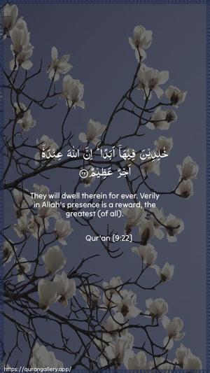 At-Tawba Ayah 22 - Arabic + English wallpaper