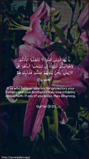 At-Tawba Ayah 23 - Arabic + English wallpaper