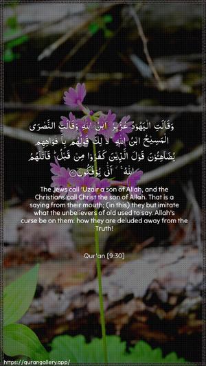 At-Tawba Ayah 30 - Arabic + English wallpaper