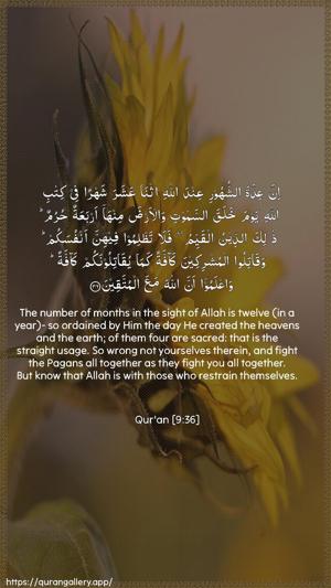 At-Tawba Ayah 36 - Arabic + English wallpaper