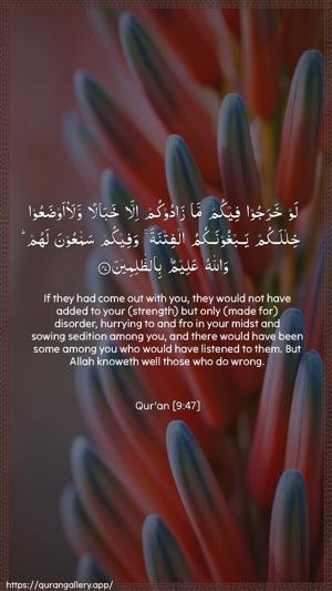 At-Tawba Ayah 47 - Arabic + English wallpaper