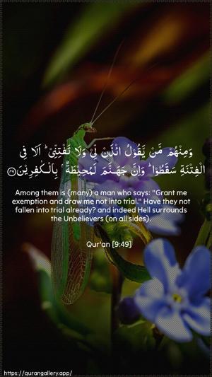 At-Tawba Ayah 49 - Arabic + English wallpaper