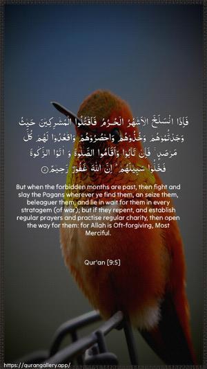 At-Tawba Ayah 5 - Arabic + English wallpaper
