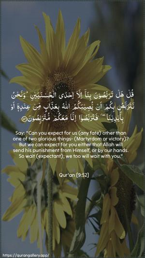 At-Tawba Ayah 52 - Arabic + English wallpaper