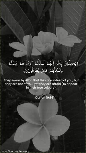 At-Tawba Ayah 56 - Arabic + English wallpaper