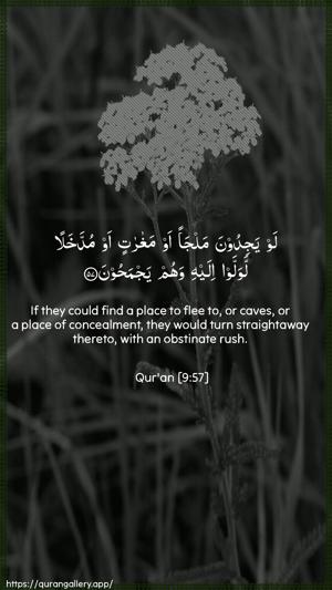 At-Tawba Ayah 57 - Arabic + English wallpaper