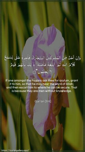At-Tawba Ayah 6 - Arabic + English wallpaper