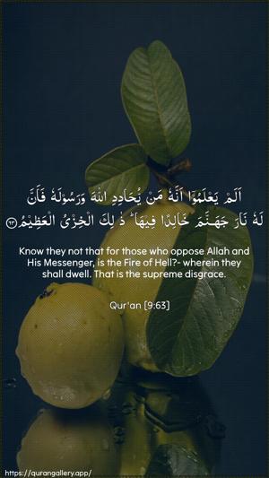 At-Tawba Ayah 63 - Arabic + English wallpaper