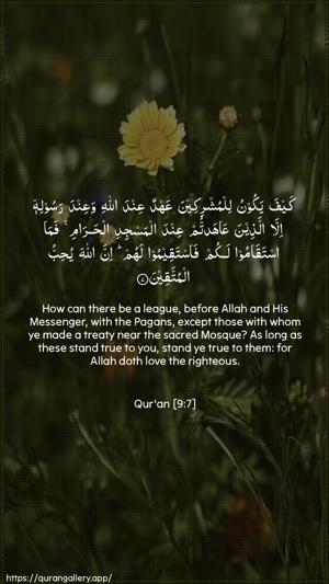 At-Tawba Ayah 7 - Arabic + English wallpaper