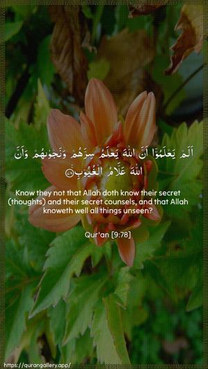 At-Tawba Ayah 78 - Arabic + English wallpaper