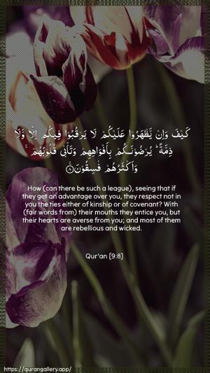 At-Tawba Ayah 8 - Arabic + English wallpaper