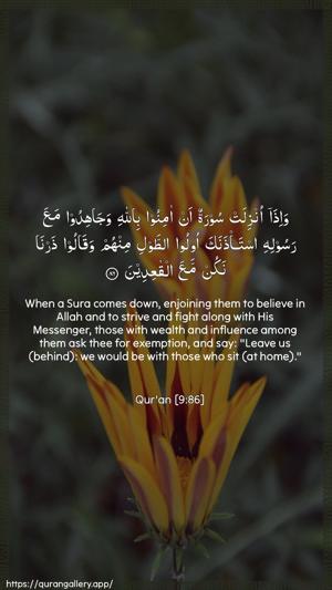 At-Tawba Ayah 86 - Arabic + English wallpaper