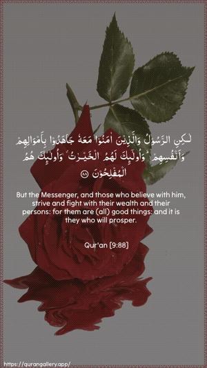 At-Tawba Ayah 88 - Arabic + English wallpaper