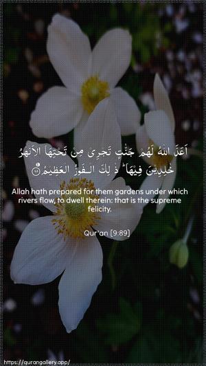 At-Tawba Ayah 89 - Arabic + English wallpaper