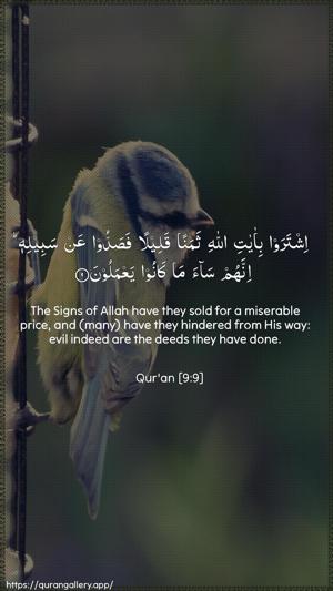 At-Tawba Ayah 9 - Arabic + English wallpaper