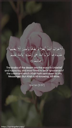 At-Tawba Ayah 97 - Arabic + English wallpaper